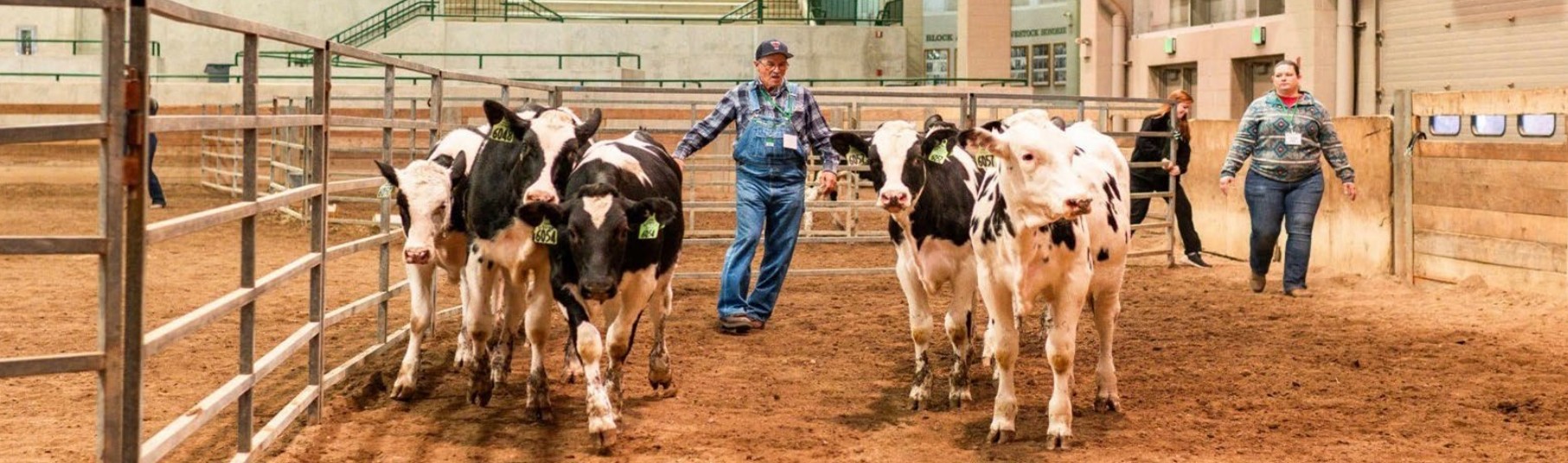 ERAIL cover image report .jpg